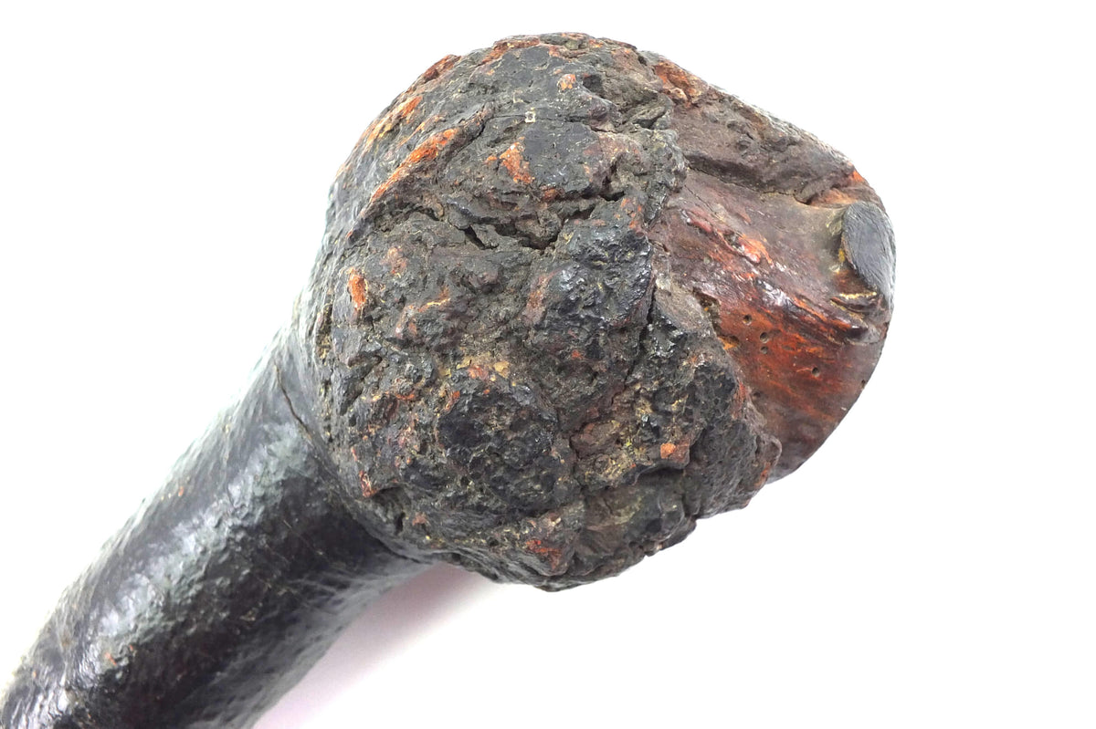 Early Blackened Bog Oak or Blackthorn, Shillelagh Bailiffs Club. X3295 ...